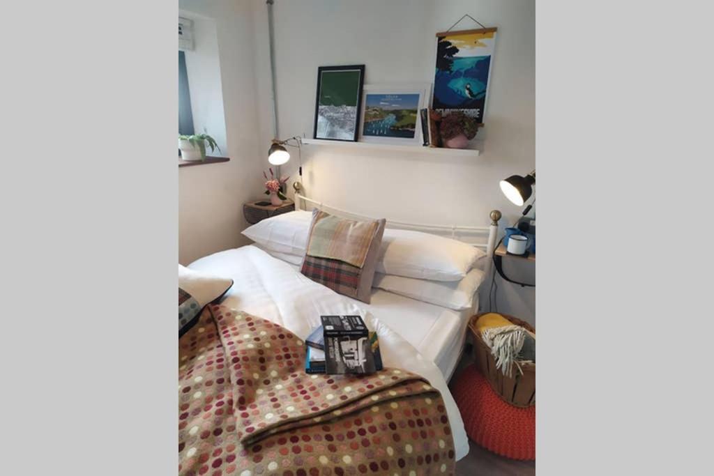 Milking Shed Cottage Narberth Buitenkant foto